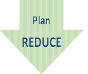 Flecha ilustrativa del Plan REDUCE